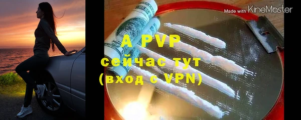 apvp Осташков