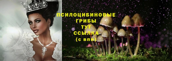 скорость Абаза