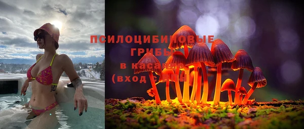 apvp Осташков