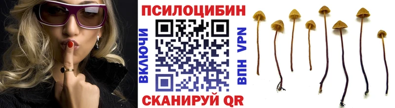 Галлюциногенные грибы прущие грибы  цена   Поворино 